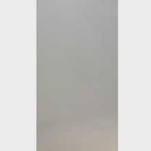 Load and play video in Gallery viewer, model with black brown emf mens hoodie