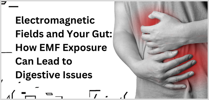 Electromagnetic Fields and Your Gut: How EMF Exposure Can Lead to Digestive Issues