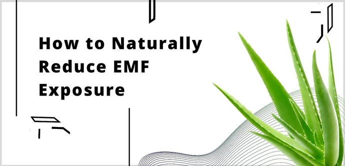 How to Naturally Reduce EMF Exposure